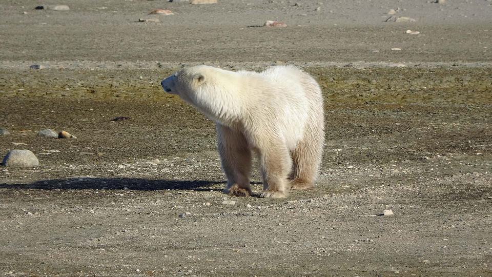Churchill Manitoba Oct 2023 35